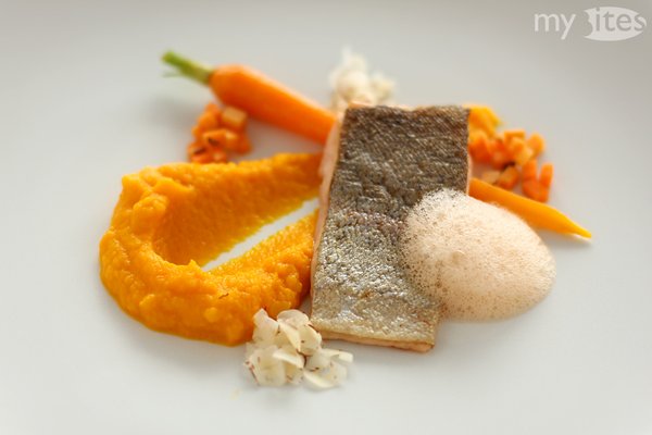 Orange Main Course: Carrot puree, sautéd young carrot, marinated carrot cubes, ginger-lime-carrot foam, hazelnut and ruby red rainbow trout