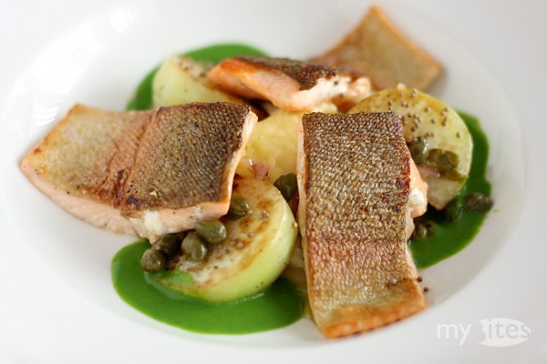 Rainbow Trout with Roasted Kohlrabi, Kohlrabi Sauce, Caper-Vinaigrette and Potato Puree